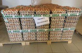 Ouă salmonella retrase comerț - agroexpert.md