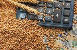 Динамика цен на зерновые: Анализ от Юрия Рижа
