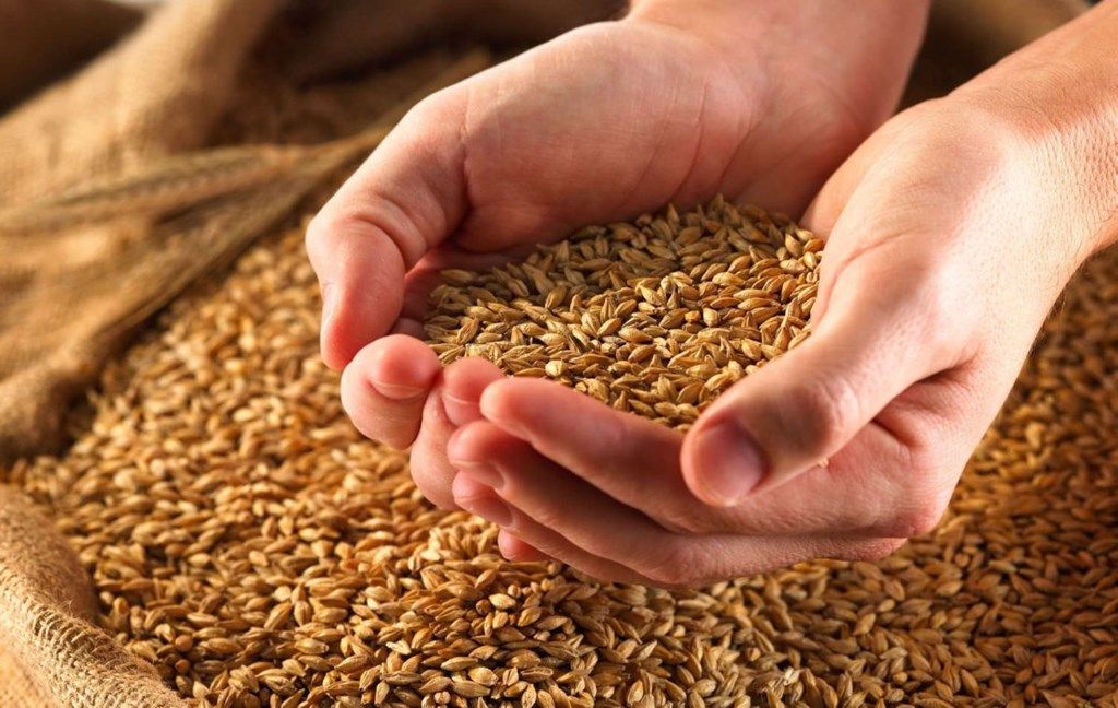 cereale Ucraina prețuri - agroexpert.md