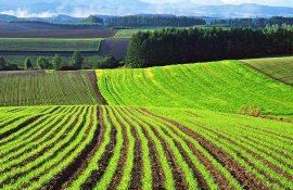 Moldova metodologia studii pedologice - agroexpert.md