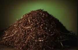 Производство ценного удобрения из отходов прямо в торговом центре - agroexpert.md