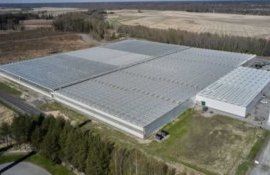 Первая в мире теплица с полностью роботизированным опылением - agroexpert.md