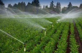 lege irigare folosința pășuni - agroexpert.md