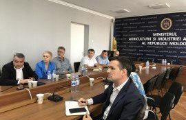 IFAD proiect dezvoltare agricultură - agroexpert.md 