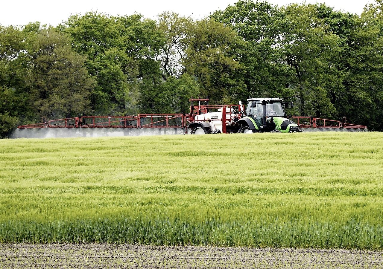 piața de îngrășăminte - agroexpert.md