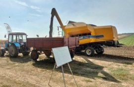 Итоги уборки подсолнечника с демополя Corteva: фавориты есть, аутсайдеров нет - agroexpert.md