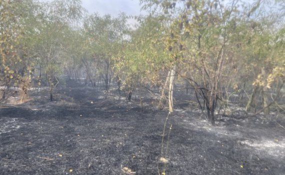 incendiu terenuri agricole distruse - agroexpert.md