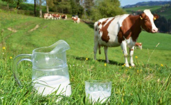 plăți litru lapte vacă AIPA - agroexpert.md