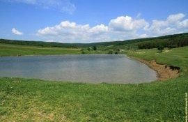 fermieri evacuare apă pește - agroexpert.md