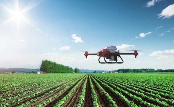 Опыление, защита от заморозков и другие преимущества дронов в плодоовощеводстве - agroexpert.md