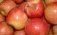 Молдавские садоводы ожидают лучших ценовых предложений на яблоко «Гала» - agroexpert.md