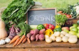Как распределяются растительные остатки в поле - agroexpert.md