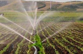subvenționare asociația utilizatorilor de apă pentru irigații - agroexpert.md