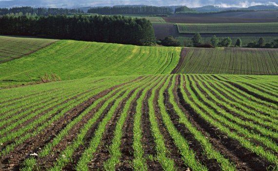cerințe gestionare teren agricol sistem irigare - agroexpert.md