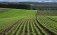 cerințe gestionare teren agricol sistem irigare - agroexpert.md
