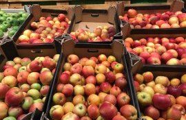 fructe moldovenești export în India - agroexpert.md