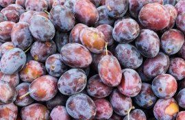 agricultori elevi cules prune - agroexpert.md