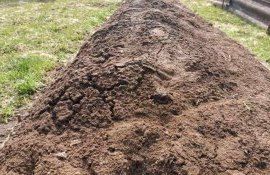 Ваш огород: что внести осенью в почву - agroexpert.md