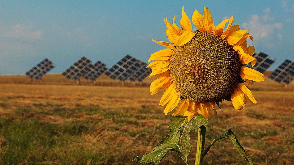 economie verde tranziție - agroexpert.md