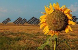 economie verde tranziție - agroexpert.md