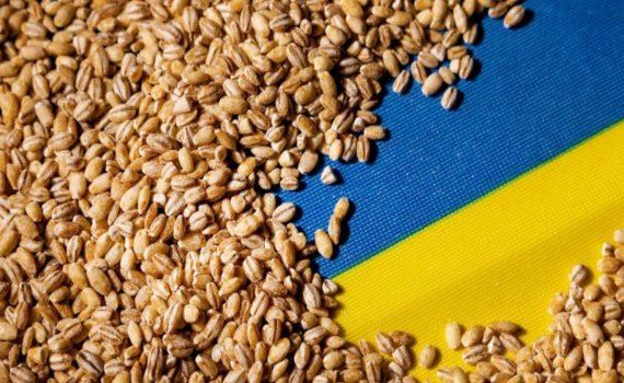 export cereale Ucraina au scăzut - agroexpert.md