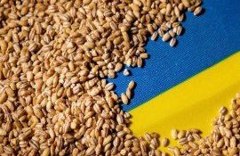 export cereale Ucraina au scăzut - agroexpert.md