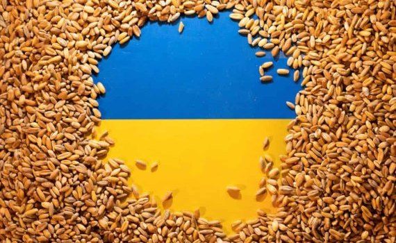 В ЕС предлагают организовать интервенционные закупки украинского зерна - agroexpert.md   