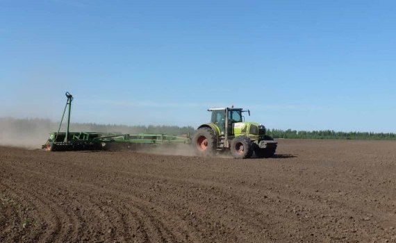 В Одесской области из-за засухи приостановлен сев озимой пшеницы - agroexpert.md