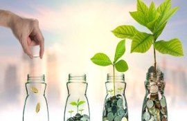obținere simplă grant antreprenori - agroexpert.md