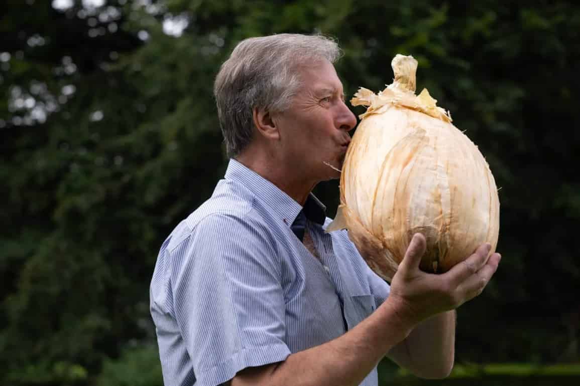 Садовод вырастил гигантскую луковицу, претендующую на новый мировой рекорд - agroexpert.md