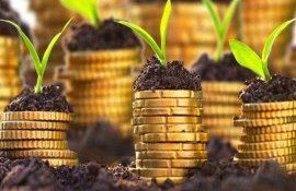fermieri subvenții complementare - agroexpert.md