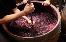 tradiție vin nord Moldova - agroexpert.md