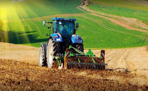 Moldova agricultura schimbări climatice FAO - agroexpert.md