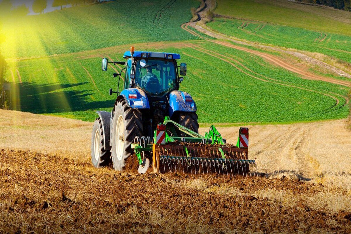 Moldova agricultura schimbări climatice FAO - agroexpert.md