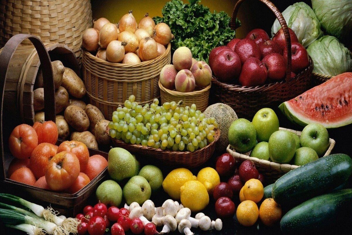 depozit fructe legume - agroexpert.md