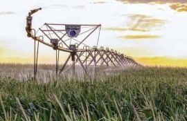 Внедрение орошения полей – насущная необходимость в условиях потепления - agroexpert.md