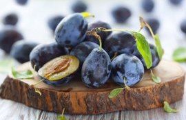 prune roadă - agroexpert.md
