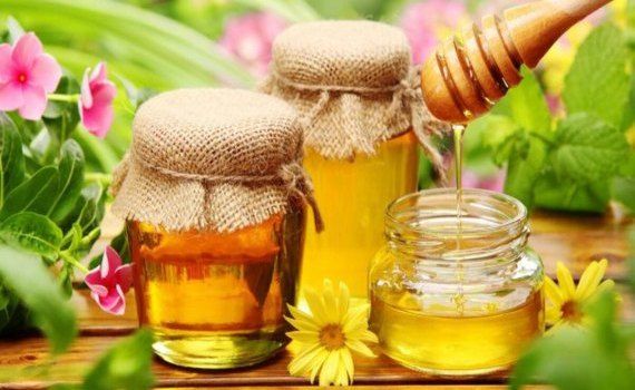 preț export miere - agroexpert.md