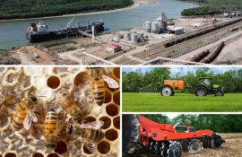 Подборка самых интересных новостей - agroexpert.md
