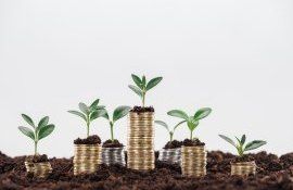agricultori subvenții - agroexpert.md