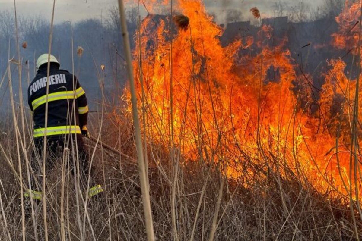 incendiu vegetație uscată - agroexpert.md