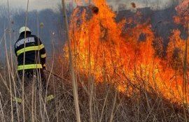 incendiu vegetație uscată - agroexpert.md