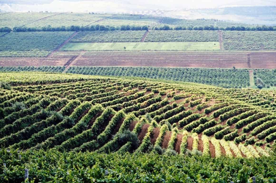Агротуризм в Молдове: лучшие винодельни, агропансионаты, гостевые дома - agroexpert.md