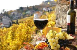 vinul moldovenesc - agroexpert.md
