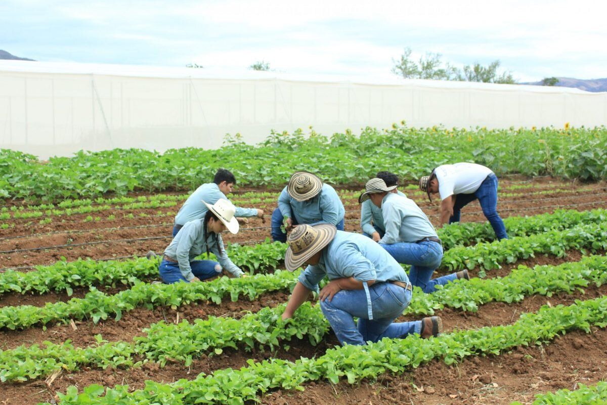 lista prestatori servicii agricultură - agroexpert.md