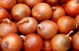 В Молдове продолжился процесс снижения цен на лук - agroexpert.md