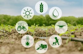 Platformă de Parteneriat Agroalimentar - agroexpert.md
