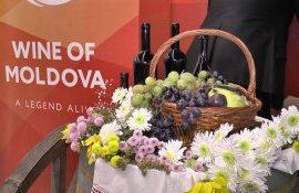 Congresul Organizației Internaționale a Vinului - agroexpert.md