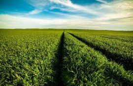 proiect AGGRI în vigoare - agroexpert.md