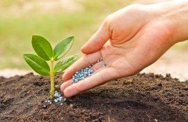 produse fitosanitare pe piață rigori UE - agroexpert.md